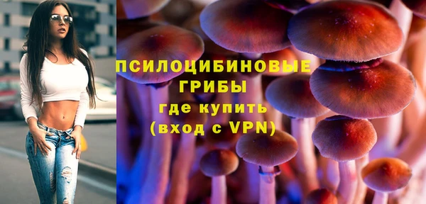 mdpv Баксан