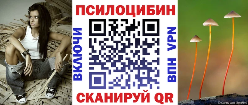 Купить  Высоцк  Псилоцибиновые грибы MAGIC MUSHROOMS 
